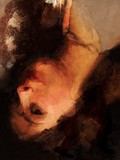 by Gabor Orgovanyi
