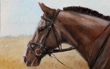 by Svetlana Ledneva-Schukina