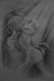 by Kay Steele