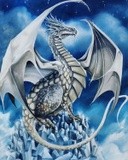 by nicolee payne