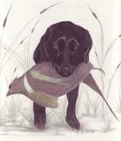 by Phyllis Gerben