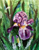 by Sue Gordon
