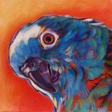 by Marna Schindler