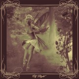 by Ben Vienerius