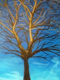by alisdair small