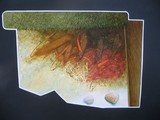 by Istvan Zsaki