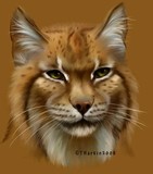 by Tina Harkin