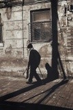 by Nikolay Semyonov