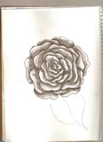 by Robin Dondero
