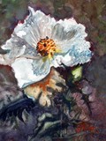 by CJ Rider