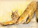 by Laura Bellodi
