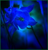 by margaret gray