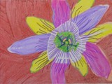 by Sally  Pulford