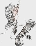 by LAURA NASTASE