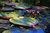 by John Lautermilch