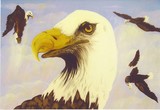 by Barbara Reid