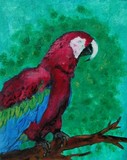 by Cori  Solomon