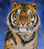 by d Mac'Carthy