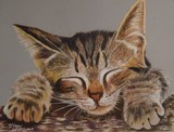 by d Mac'Carthy