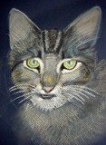 by Sandra McClure