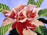by Karen Higgins
