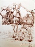 by nicole zeug