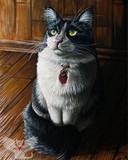 by Cara Bevan