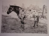 by Jenna Frazier