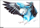 by Kerli Toode