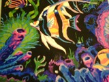 by Amanda Tallcot