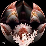 by Stefani Wehner