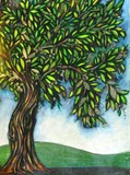 by Vivian Haworth