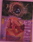 by sheila fraga