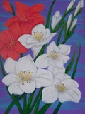by Elizabeth Janus