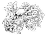 by D Marciniak