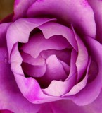 by debbie klienback