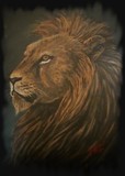 by Jennifer Jeffris
