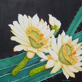 by Carol Sabo