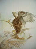 by Jan Howlett