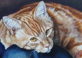 by Ria Stelling