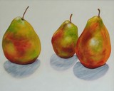 by Cathy Enthof