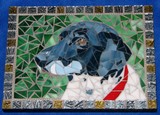 by Judy Adams