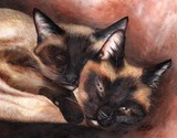 by Rachael Brossart