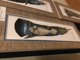 by Susan E. Wolding
