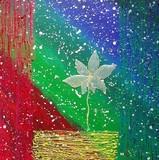 by Francesca Nobile