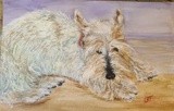 by Joanie Holliday
