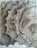 by Liza Morell