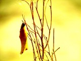 by yatin bhatia