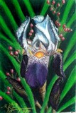 by Rosette Ramos-Brewer