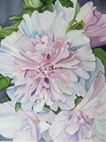 by Karen Park